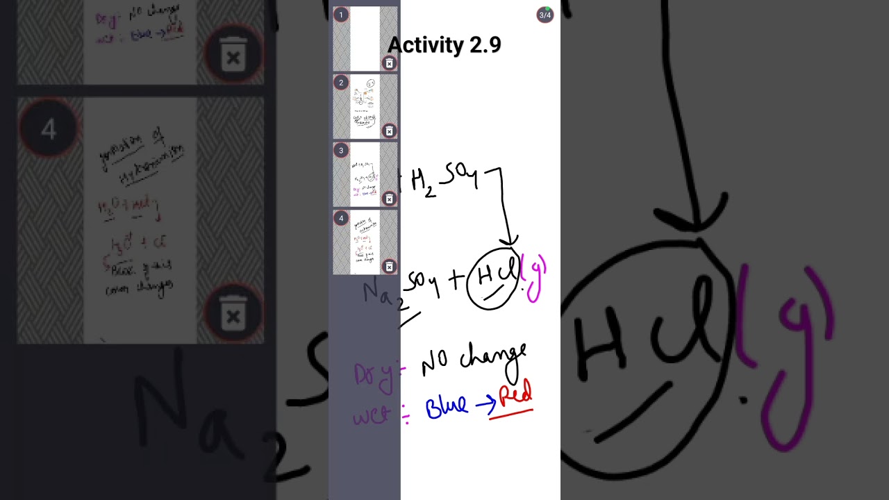 Important activity 2.9 | Acids Bases and Salts | Board exam 2023-24
