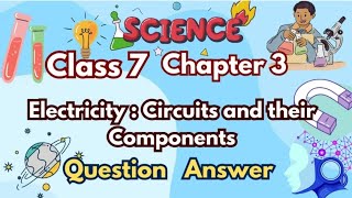 Class 7 Science Chapter 3 Electricity Circuits NCERT Solutions | All Questions Explained | Curiosity