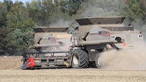 Gleaner S77 Combines Harvesting Soybeans
