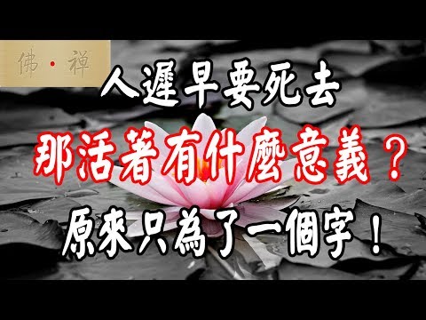 佛禪：人遲早要死去，那活著有什麼意義？原來只為了一個字！