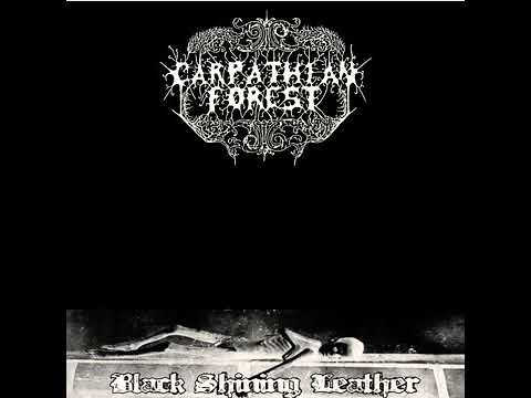 Carpathian Forest - Black Shining Leather