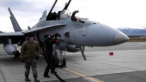 Royal Canadian Air Force CF-18 Hornet fighter jets.