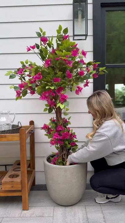 Amazon outdoor plants! 🌺 #amazonfinds #amazonhome