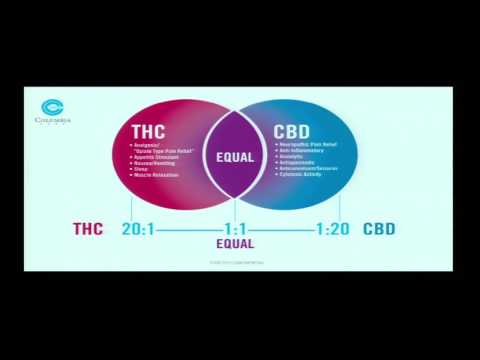 Medical Marijuana 101 with an Emphasis on HIV