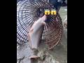😱😱মাএ ১৫০০ শ টাকার টিকেটে কতো গুলো মাছ#fessier