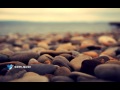 سوره الزمر الشيخ عبدالرحمن العوسي