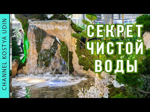 Главный секрет чистой воды (#LANDSCAPE) в пруду с водопадом! (The main secret of clean water)