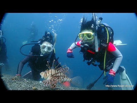 群馬県伊勢崎市のダイビングスクール 女子高生 女子中学生のライセンス取得 家族でダイバー