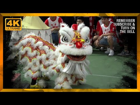 2O23 Hong Kong Hong CLou Traditional Lion Dance Competition 雄獅樓盃 獅王競賽 // 香港陸智夫國術會（女子兒童幼獅隊）