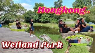 Vlog#24 hongkong,wetland park -