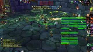 BB#8: H Naxxramas - Grobbulus - Boozin Bullies - Darkspear - US - Horde