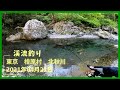 2021年4月21日　渓流釣り　東京　檜原村　北秋川