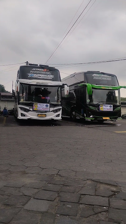 MSM ASYROF FADEL UNIT #bismania #automobile #busmania #telolet #basuri #buspariwisata