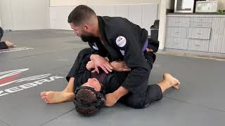Bjj purple belt sparring
