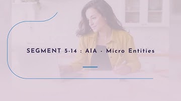 Wysebridge Patent Bar Review: AIA Micro Entities