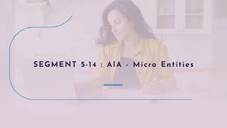 Wysebridge Patent Bar Review: AIA Micro Entities
