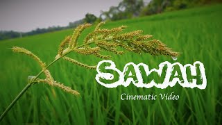 CINEMATIC VIDEO - Sawah [Senyum Dari Desa]