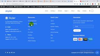 Footer Widget Settings Skyler | Multipurpose Hosting WordPress Theme
