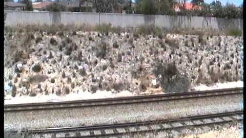 WAGR Lone L in Spearwood____E__-