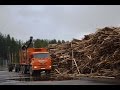 Вывозка и утилизация древесных опилок