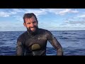 Tuna tug-of-war: Spear fisherman battles in water with three sharks to land huge catch