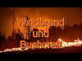 Renn, wenn der Wald brennt