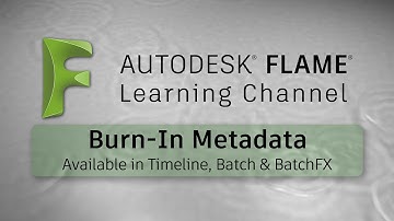 Burn-In Metadata - Flame 2017