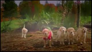 Thewildanimal13S Halloween Random Comic Frenzy Clip 13