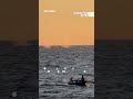 Israeli navy fires at Palestinian fishermen off Gaza coast, wounding three