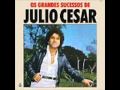 JULIO CESAR GAIVOTA SOLITARIA