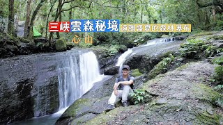 三峽雲心、森山結合出的雲森秘境！在盛夏中感受不到酷熱的森林瀑布