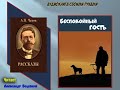 А. П. Чехов. Беспокойный гость - чит. Александр Водяной