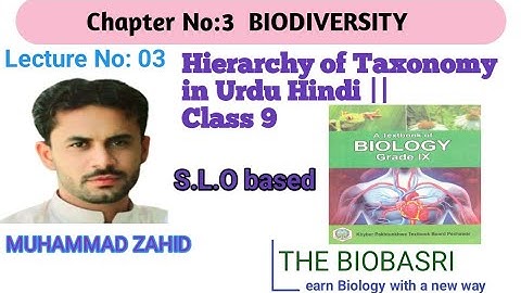 Hierarchy of taxonomy in Urdu Hindi | Biodiversity | Class 9