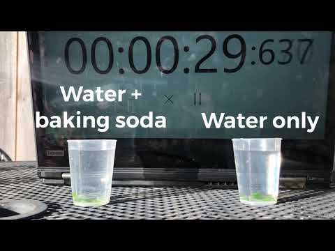 Floating leaf disk lab