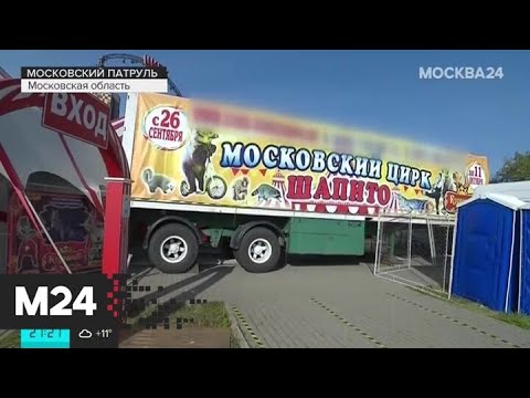 "Московский патруль": следователи начали проверку после нападения медведя на ребенка - Москва 24