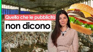 Cosa si nasconde dietro il tuo HAMBURGER - Intervista a Giulia Innocenzi