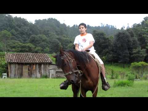 Alexis monta caballo por primera vez