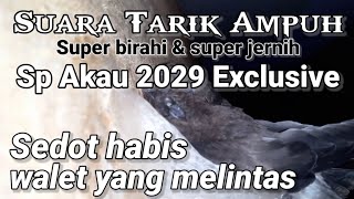 SP AKAU 2029 EXCLUSIVE, suara tarik Akau terbaik.suara tarik walet ampuh, jernih, original, terbukti