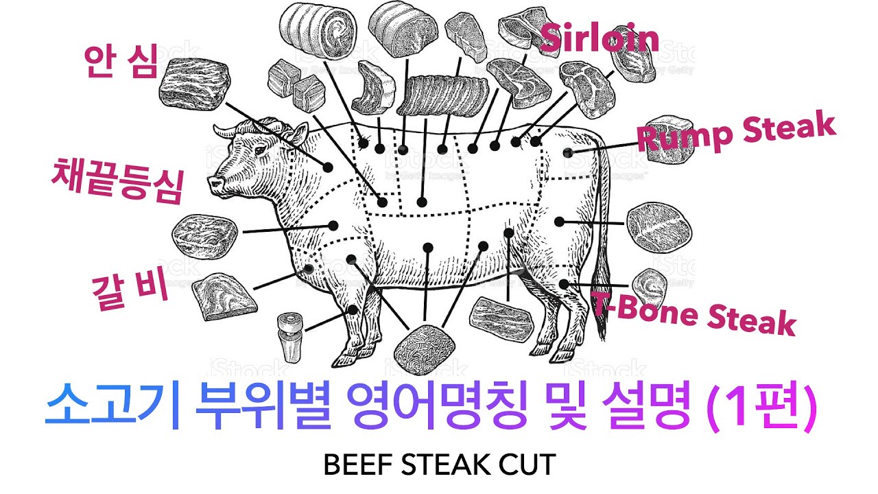 갈비 영어 로 | 소고기 부위별 영어명칭 및 설명 1편(호주정육사, Beef Steak Cut 영어이름 완벽정리ㅣ꽃등심 채끝등심 목심 안심 T-Bone Y-Bone Rump 갈비) 상위 245개 답변