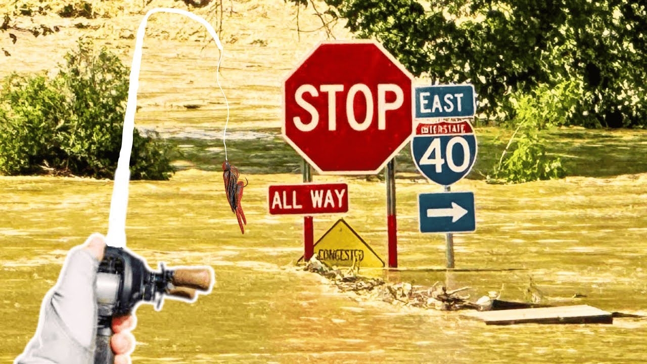 Fishing After A Hurricane?! Bass Fishing FLOODED Fort Loudon Lake…