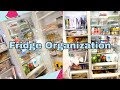 Massive fridge and freezer Organization | Motivational Cleaning |Spring Cleaning 2020