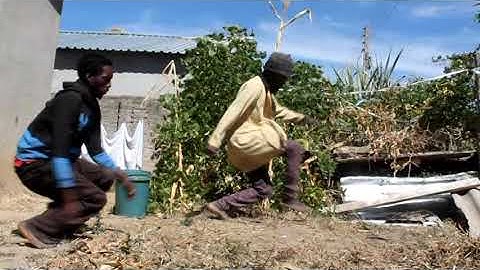 Vanchoga -pindikiti (video action clip