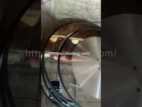 Shengao Single Bevel Blades - High-Speed Cutting Performance