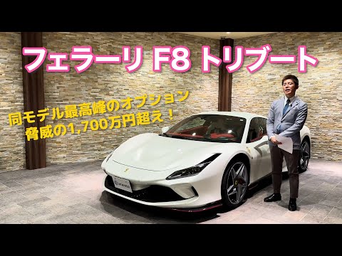 同モデル最高峰のオプション 脅威の1,700万円超え