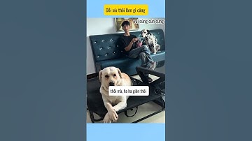 Dỗi xíu thôi làm gì mà căng # vui cùng cún cưng