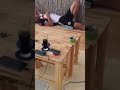 Trưa vào động cafe xem trai