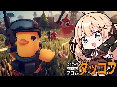 【エスケープ フロム ダッコフ】今話題のゲームやってみるよ!アヒルが可愛いってことしかわからん【方言Vtuber/りとるん】