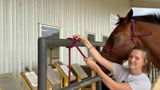 PMC Training: Tying a Horse to the Rail