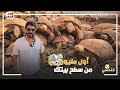 من سطح بيتك هتعمل أسرع مليون حمادة فكر بره الصندوق وتاجر في السلاحف وباع بـ الدولار 