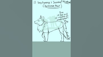 Dog Walk Cycle Process